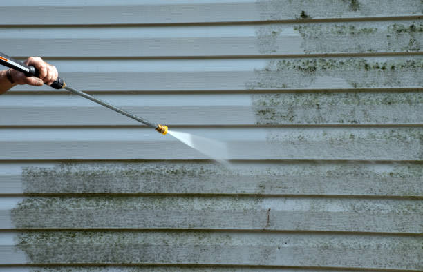 Best Driveway Pressure Washing  in Dunn, NC